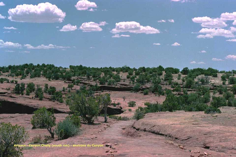 south rim de Canyon Chelly - les abords du canyon